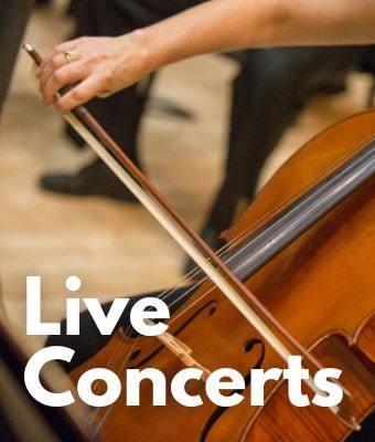Browse Our Concerts